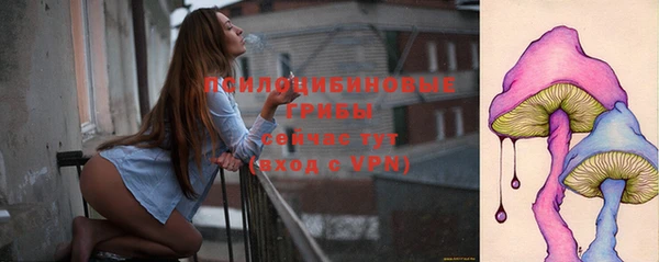 PSILOCYBIN Белокуриха
