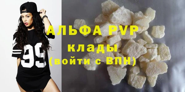 PSILOCYBIN Белокуриха