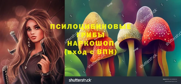 PSILOCYBIN Белокуриха